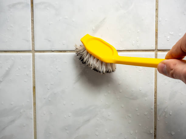 Best Professional Mold Removal  in Parsons, TN