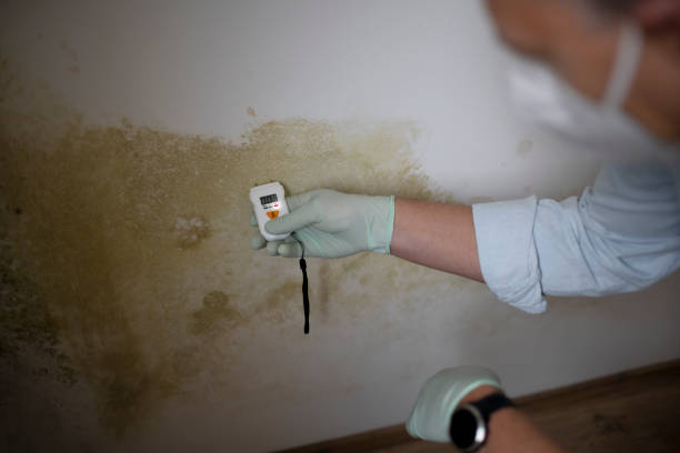 Best Mold Testing  in Parsons, TN