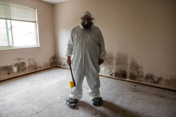 Attic Mold Removal in Parsons, TN